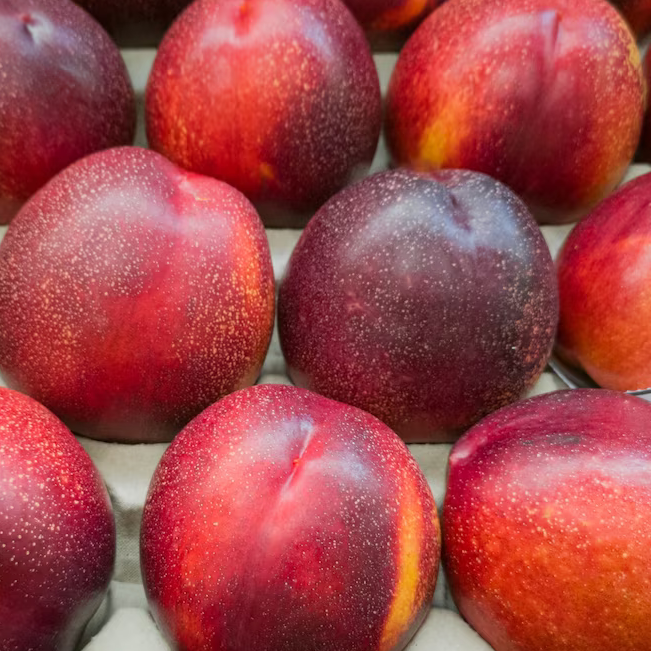 Νεκταρίνια